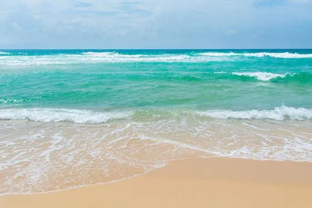 Туристи рідко скаржаться на невдалі поїздки Туристи рідко скаржаться на невдалі поїздки