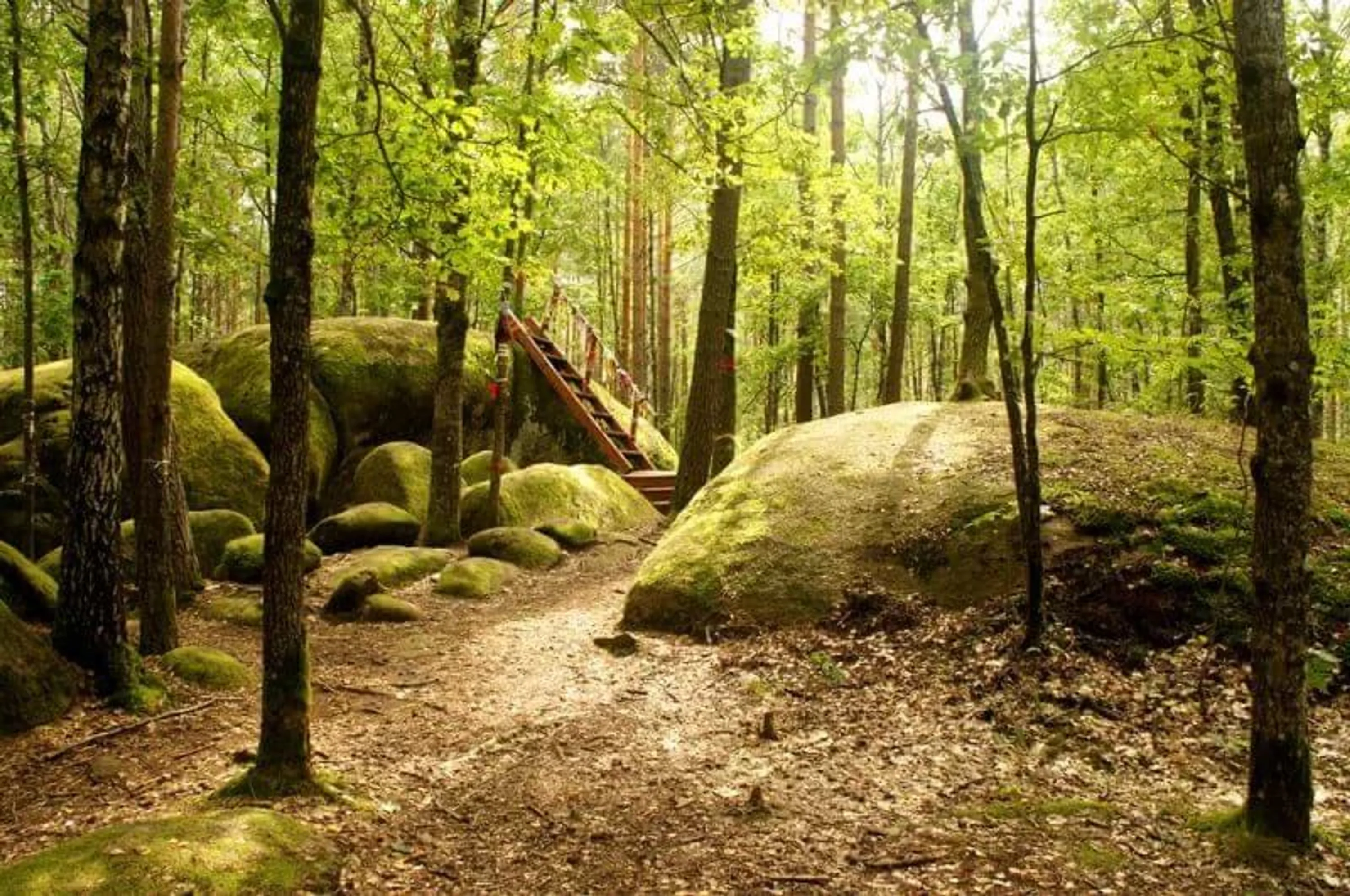 Житомирщина