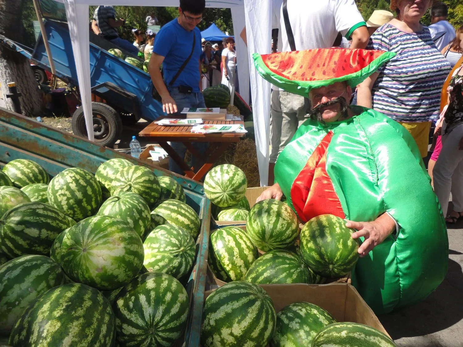 На Херсонщині шукають найсмачніший кавун сезону На Херсонщині шукають найсмачніший кавун сезону