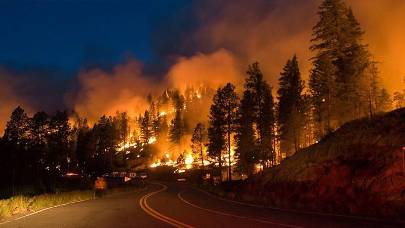 В Калифорнии объявлено чрезвычайное положение из-за массовых пожаров
