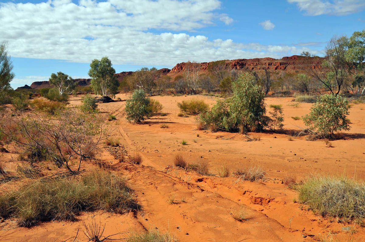 Австралия страдает от самой тяжелой жары за всю историю