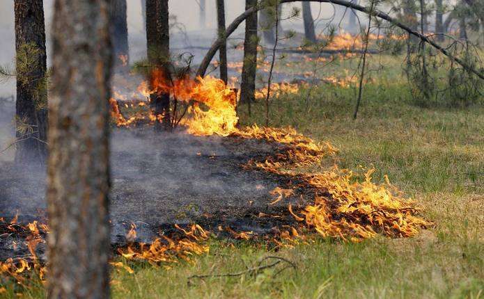 В Україні зберігається надзвичайна пожежна небезпека: перелік областей