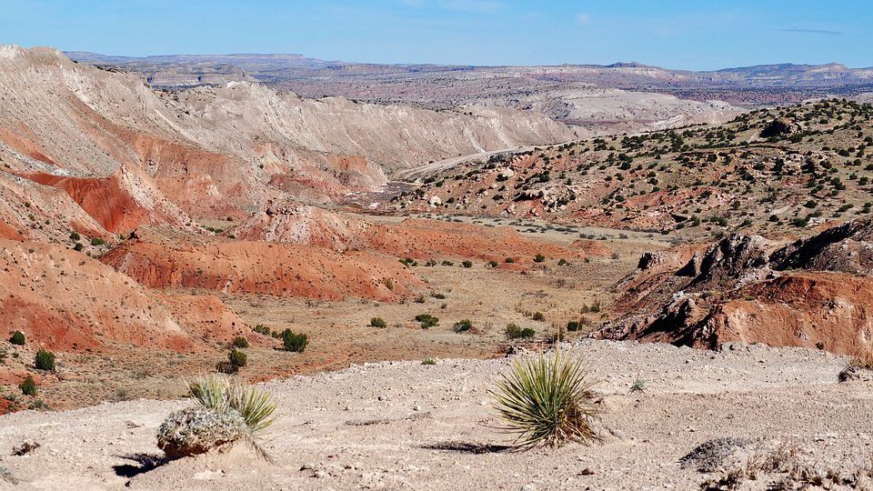 В США , среди пустыни, детей морили голодом: детали В США , среди пустыни, детей морили голодом: детали