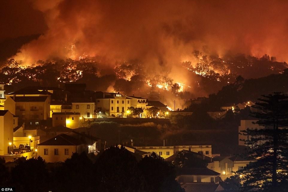 У Португалії вирують масштабні лісові пожежі: вже постраждали 44 людини