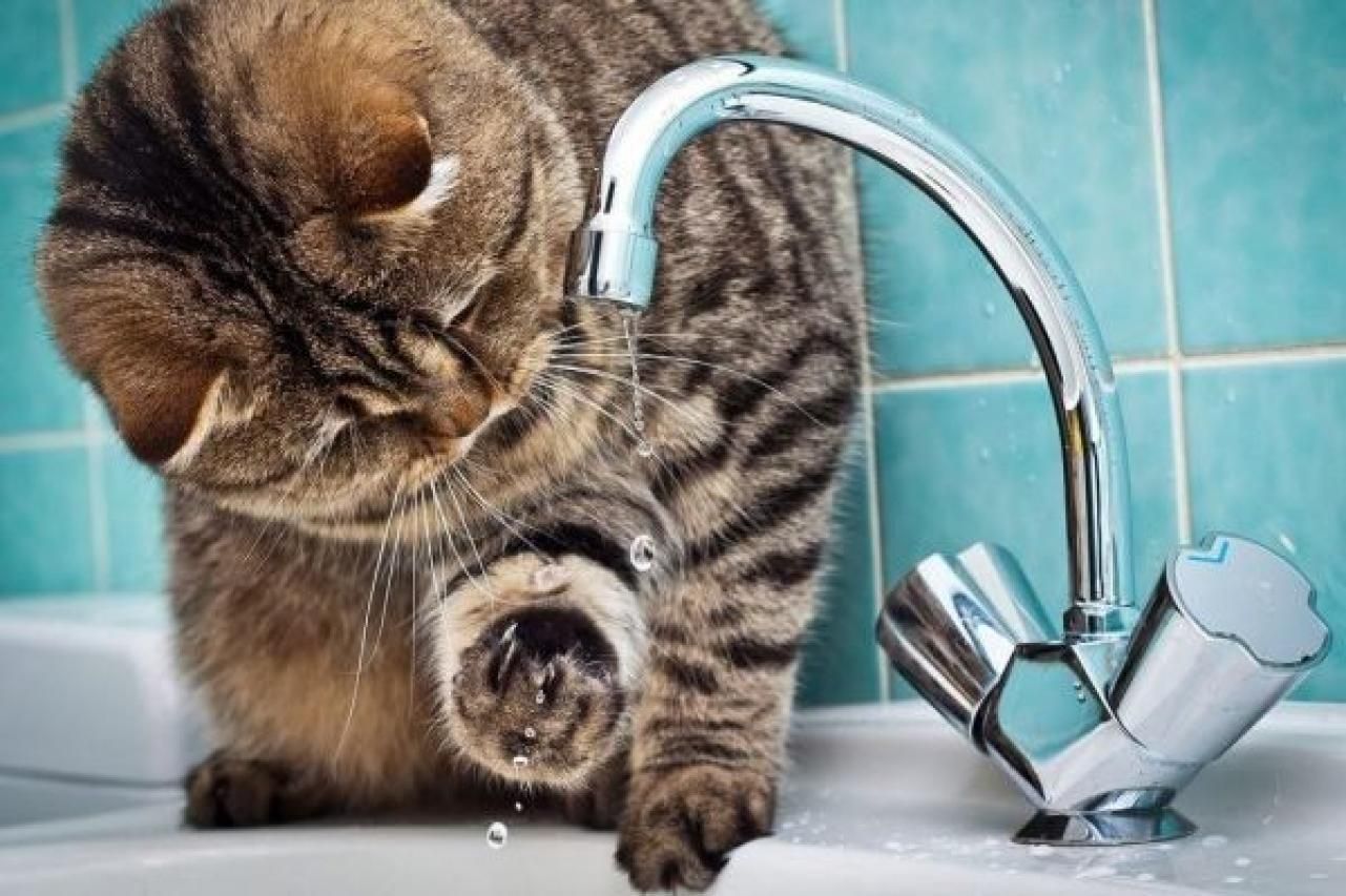 Отключение воды в Днепре август 2018 - даты и адреса Отключение воды в Днепре август 2018 - даты и адреса