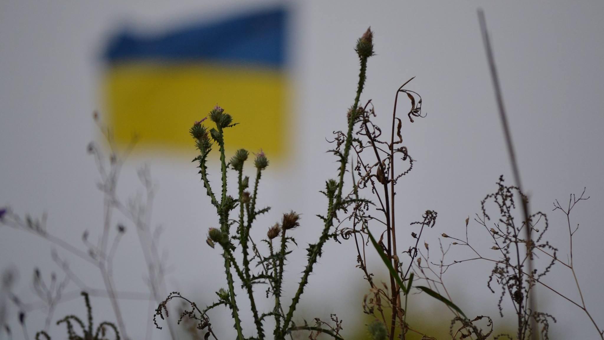 Репортаж з передової: поблизу окупованої Горлівки не вщухають обстріли Репортаж з передової: поблизу окупованої Горлівки не вщухають обстріли