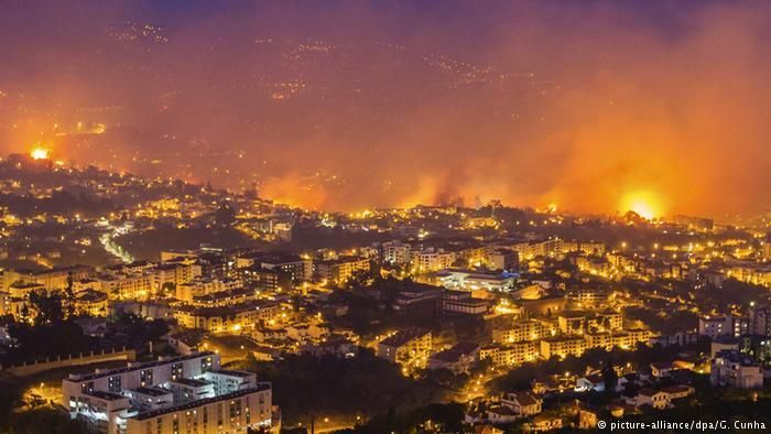 Пожежі у Португалії: кількість постраждалих зросла до 32 осіб