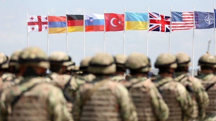 Грузії та Україні найближчим часом "не світить" вступ у НАТО: пояснення глави МЗС Литви Грузії та Україні найближчим часом "не світить" вступ у НАТО: пояснення глави МЗС Литви