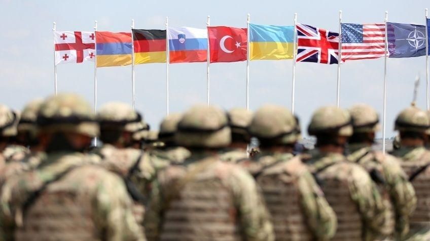 Грузії та Україні найближчим часом "не світить" вступ у НАТО: пояснення глави МЗС Литви
