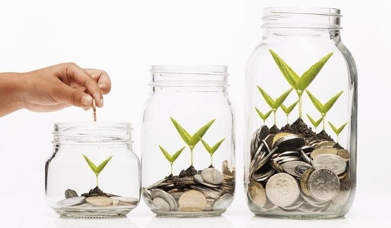 Во что выгодно инвестировать деньги, чтобы не прогореть Во что выгодно инвестировать деньги, чтобы не прогореть