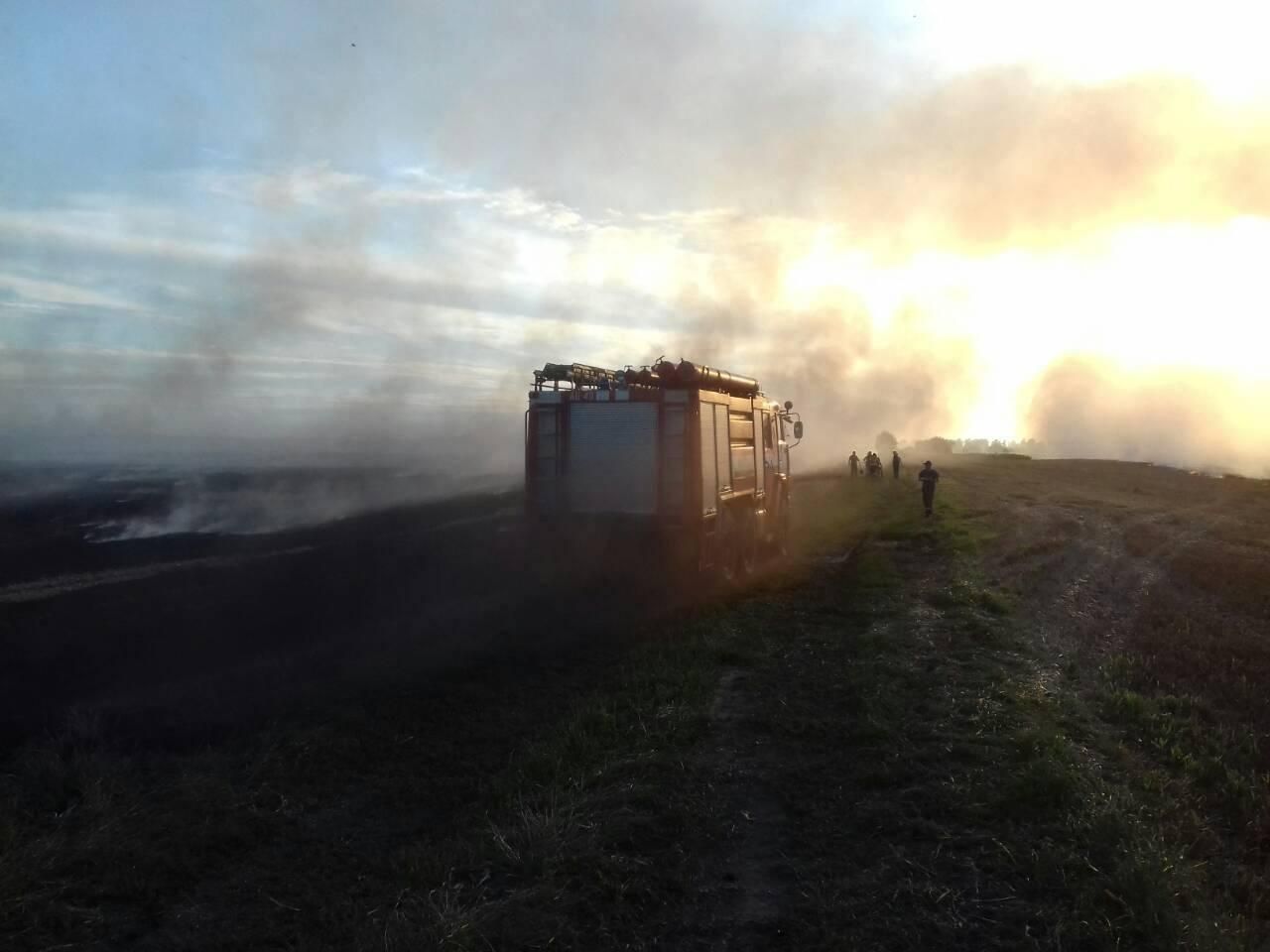 На Львівщині спалахнула масштабна пожежа