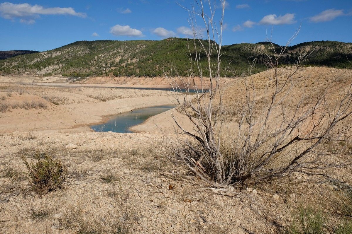 Это не экологическая катастрофа: что на самом деле происходит в Крыму Это не экологическая катастрофа: что на самом деле происходит в Крыму