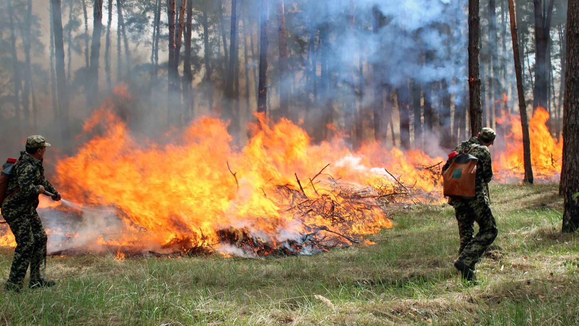На выходных в Украине ожидается высокий уровень пожарной опасности