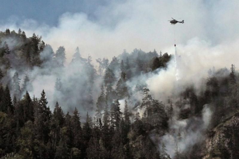 В горах Баварии второй день горят лесные пожары: опубликованы фото