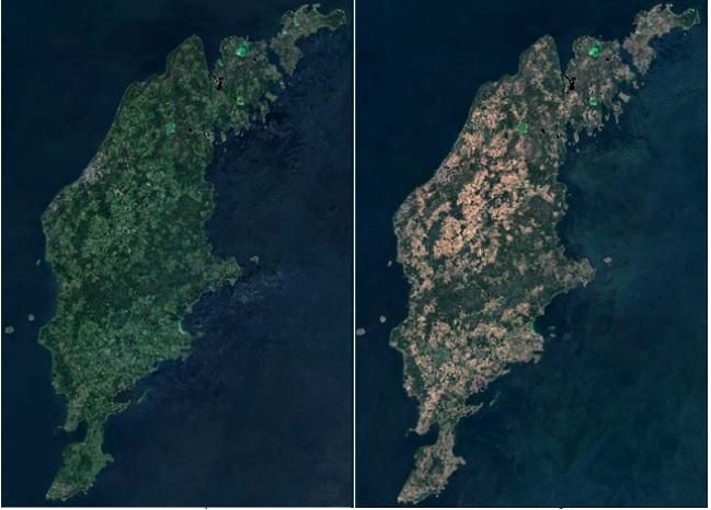 Последствия масштабных пожаров в Швеции: опубликовали впечатляющие фото из космоса Последствия масштабных пожаров в Швеции: опубликовали впечатляющие фото из космоса