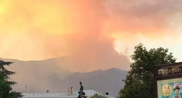 Окупований Крим охопила масштабна лісова пожежа: фото і відео Окупований Крим охопила масштабна лісова пожежа: фото і відео