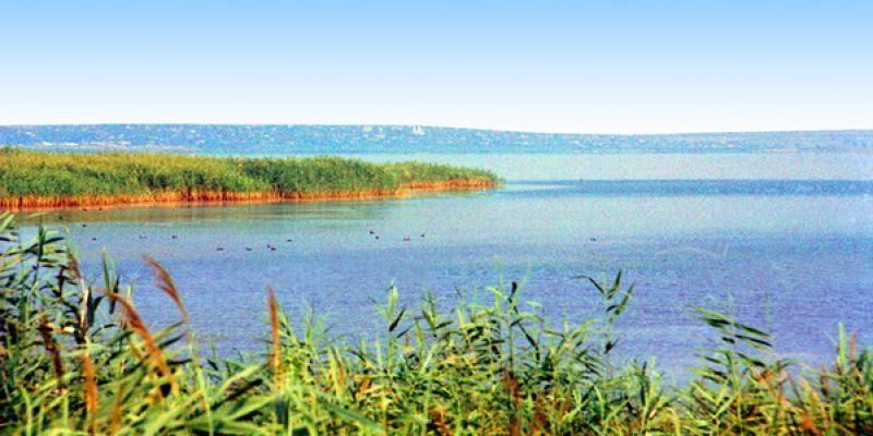 В Одесской области на самом большом озере Украины исчезли отец и сын: подробности