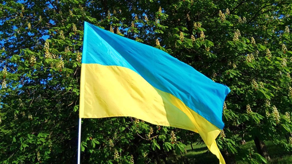 На Луганщині чоловік після повернення з Росії глумився над прапором України На Луганщині чоловік після повернення з Росії глумився над прапором України