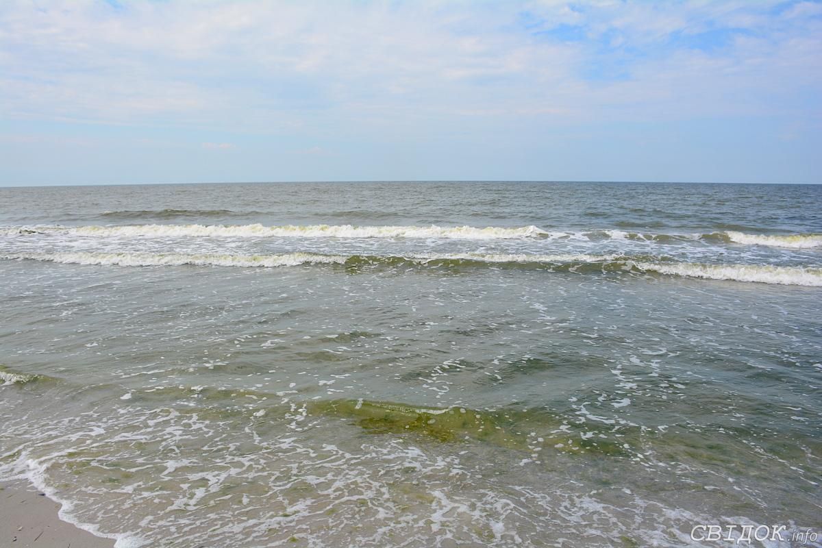 Підрахували українські ліцензії у Криму, які РФ зібралась анулювати Підрахували українські ліцензії у Криму, які РФ зібралась анулювати