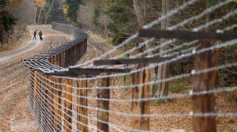 Дания построит забор на границе с Германией: известна причина