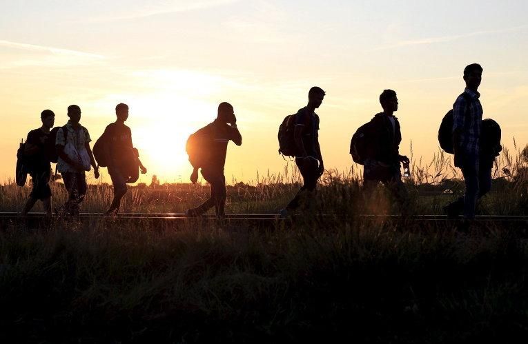 Нелегальные мигранты скоро станут угрозой государственной безопасности Украины