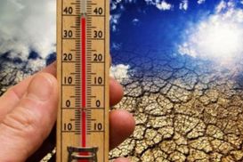 Аномальная жара унесла жизни 23 человек в Испании