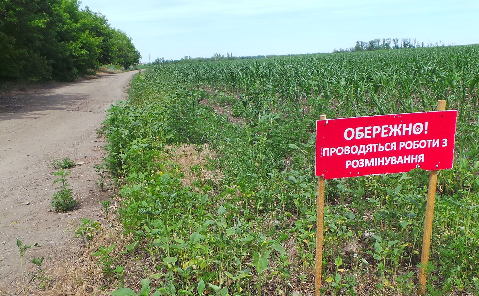 Скільки років знадобиться, щоб розмінувати Донбас: названо термін Скільки років знадобиться, щоб розмінувати Донбас: названо термін