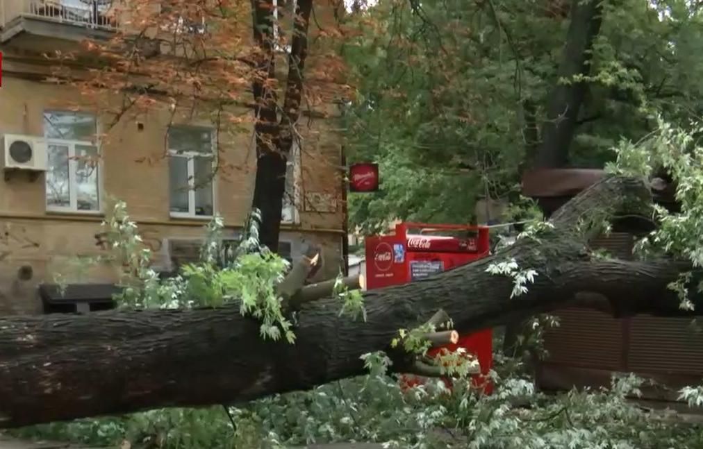 Через зливу у Києві величезне дерево впало на кіоски