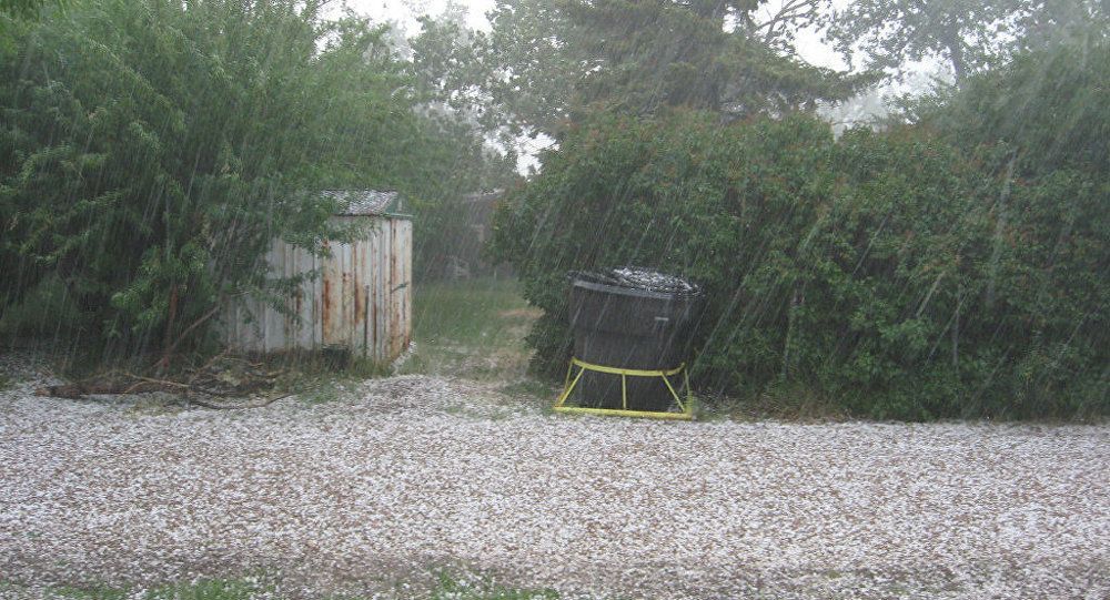 Стихия уничтожила урожай винограда в Грузии Стихия уничтожила урожай винограда в Грузии