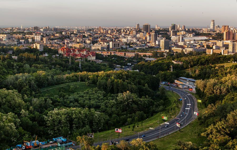 Масова вирубка дерев у київському Протасовому Яру