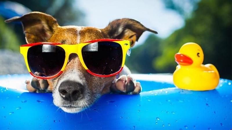 Прогноз погоди на 25 серпня 2018 Україна - прогноз синоптика Прогноз погоди на 25 серпня 2018 Україна - прогноз синоптика