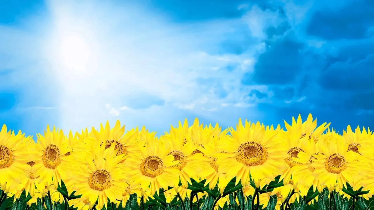 З Днем Незалежності України – привітання у прозі та віршах З Днем Незалежності України – привітання у прозі та віршах