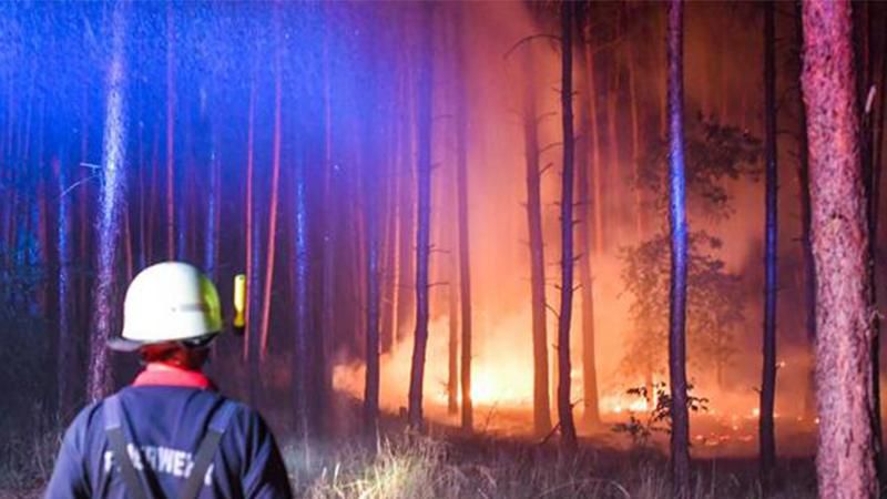 Лісові пожежі у Німеччині поступово підбираються до Берліна 
