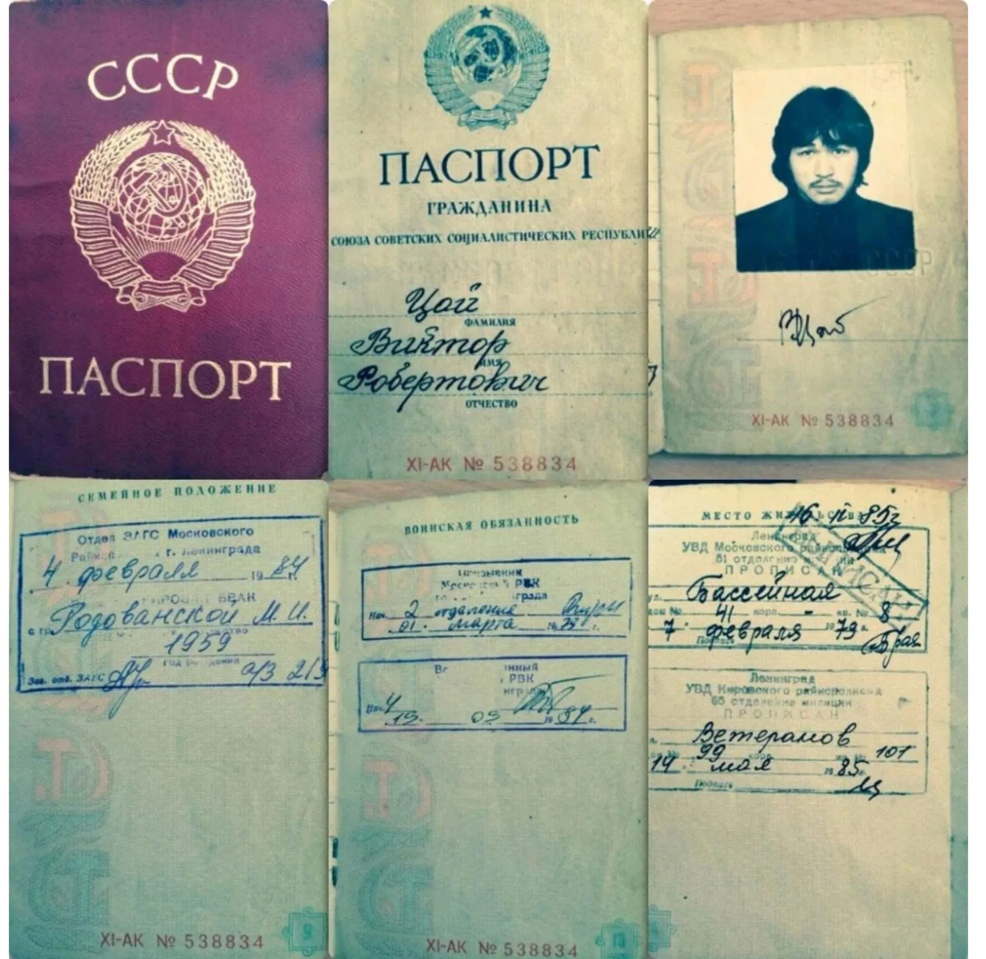 Цой Цой
