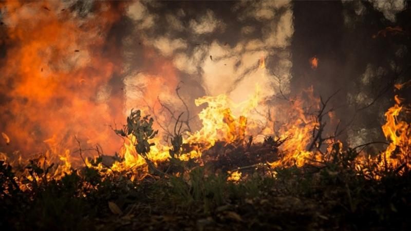 В Полтавской области уже третьи сутки горят поверхностные залежи торфа