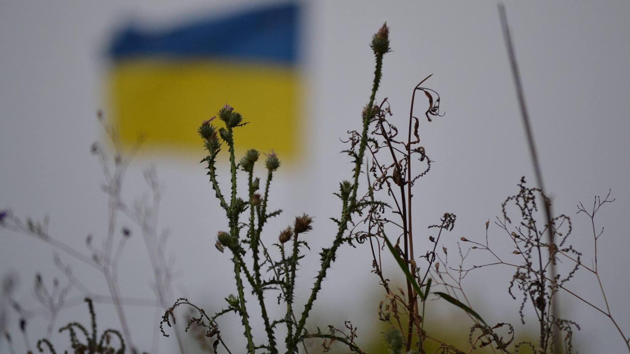 "З Днем Незалежності, Україно! Війна триває": бойовики з усіх калібрів обстріляли наші позиції "З Днем Незалежності, Україно! Війна триває": бойовики з усіх калібрів обстріляли наші позиції