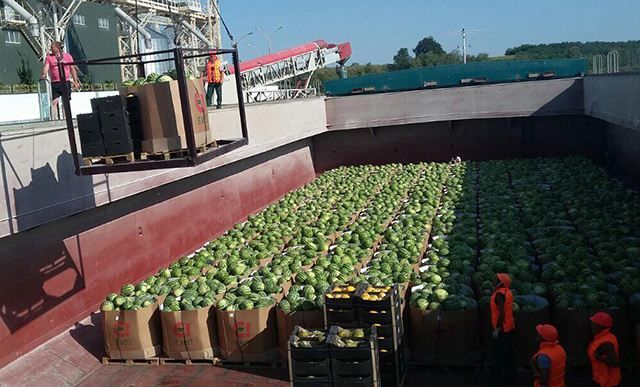 В Киев прибыла баржа с первой партией херсонских арбузов: "вкусные" фото В Киев прибыла баржа с первой партией херсонских арбузов: "вкусные" фото