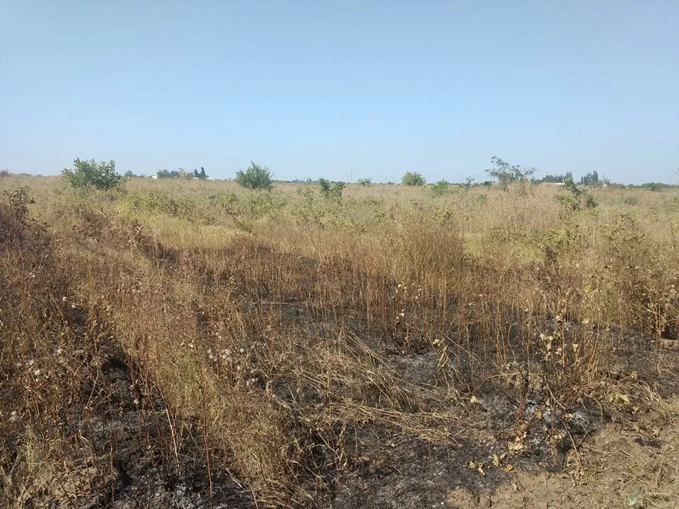 лакарен лакарен