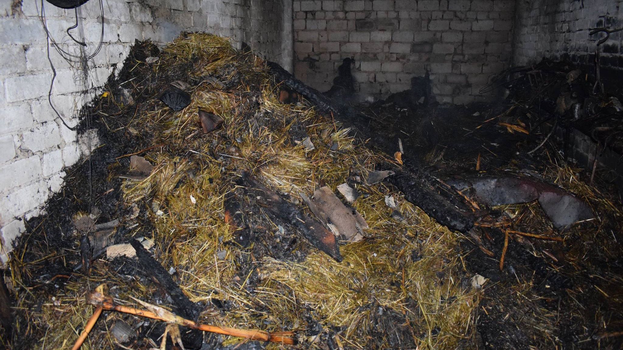 Пошли играть в хлев и сгорели: в Ровненской области в пожаре погибло двое детей