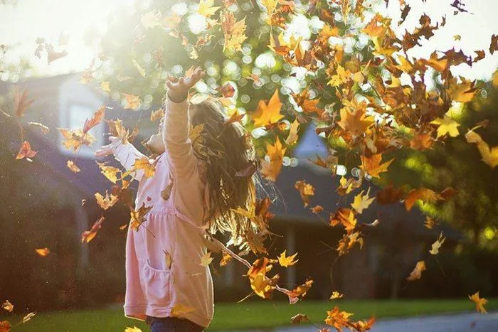 З 10 вересня розпочнеться перше бабине літо З 10 вересня розпочнеться перше бабине літо