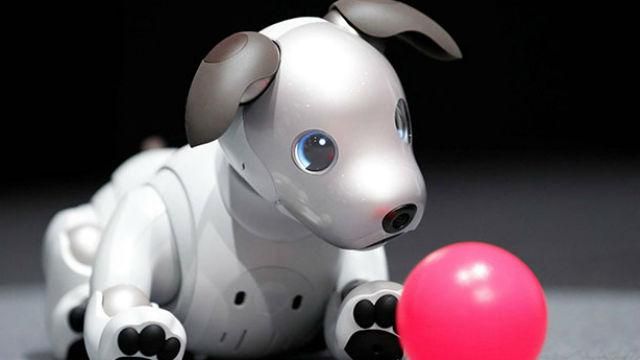 Робот-собака от Sony вышел на международный рынок: цена "кусается"