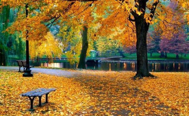 Какой будет погода в сентябре в Украине: прогноз от синоптиков Какой будет погода в сентябре в Украине: прогноз от синоптиков