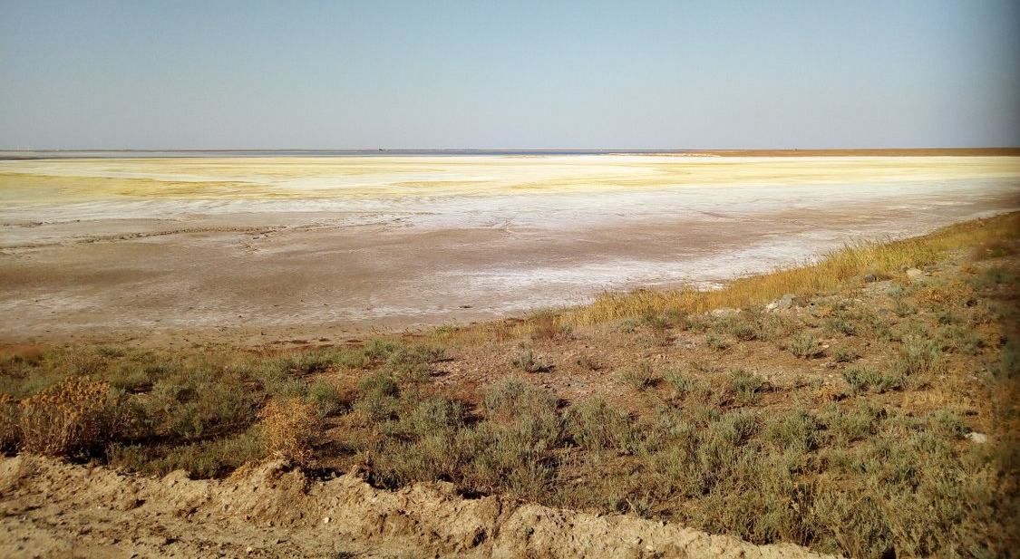 Екологічна катастрофа в Криму: у мережі з'явилися шокуючі фото Екологічна катастрофа в Криму: у мережі з'явилися шокуючі фото