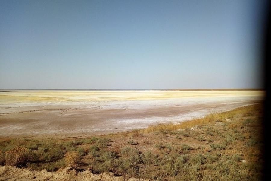 Появилось видео с места экологической катастрофы в Крыму: шокирующие кадры Появилось видео с места экологической катастрофы в Крыму: шокирующие кадры
