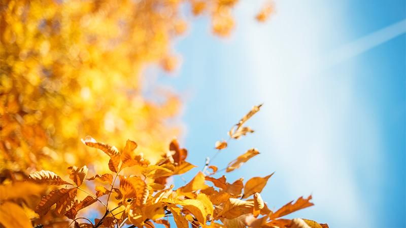 Погода 3 сентября 2018 в Украине - прогноз синоптиков Погода 3 сентября 2018 в Украине - прогноз синоптиков