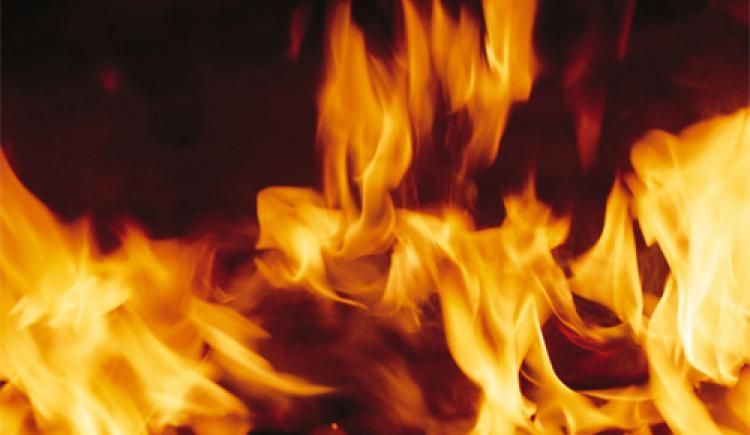 На Харківщині – масштабна пожежа: горять десять гектарів лісу