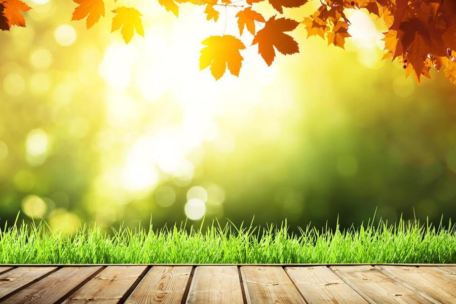 Погода 4 сентября 2018 Украина: что прогнозирует синоптик