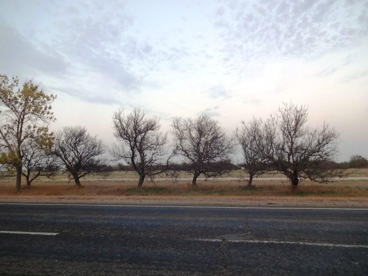 Экологическая катастрофа в Крыму: появились жуткие фото последствий химвыброса Экологическая катастрофа в Крыму: появились жуткие фото последствий химвыброса