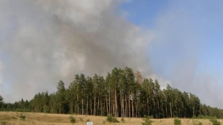 Масштабный лесной пожар на Харьковщине: пламя охватило 50 гектаров