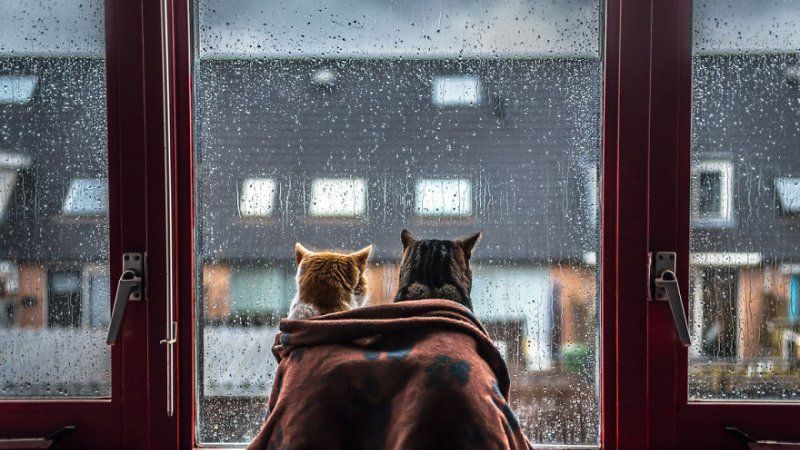 Погода 6 сентября 2018 Украина - синоптики обещают похолодание Погода 6 сентября 2018 Украина - синоптики обещают похолодание